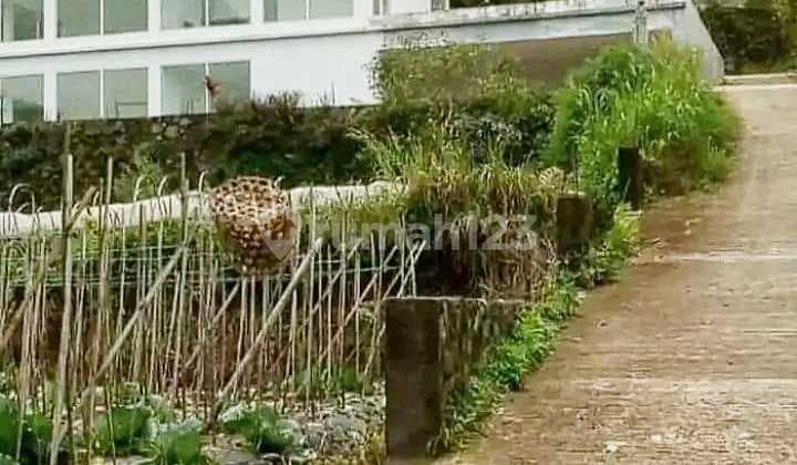 Tanah Bedugul Pancasari Full View Danau Buyan 2 Ha