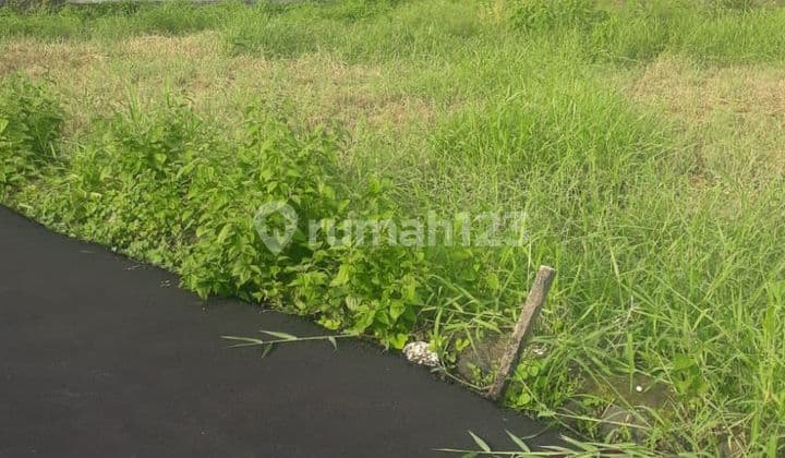 Tanah Jalan Sekar Jepun Gatsu Timur Denpasar Bali