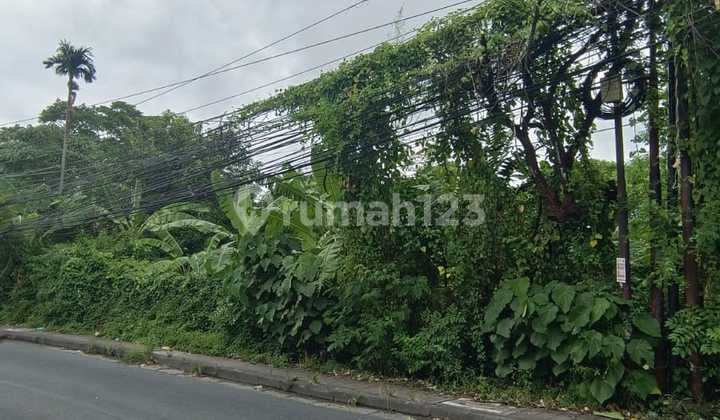Tanah Premium Batubelig Canggu Badung Bali