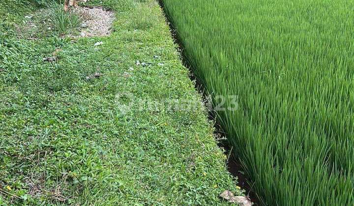 Lahan Premium Siap Bangun Lingkungan Villa di Jual di Ubud Bali