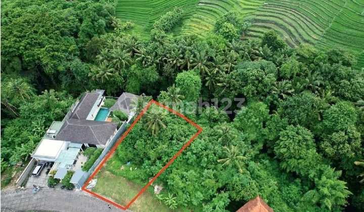 Lahan Premium Siap Bangun di Kedungu Bali Murah Meriah