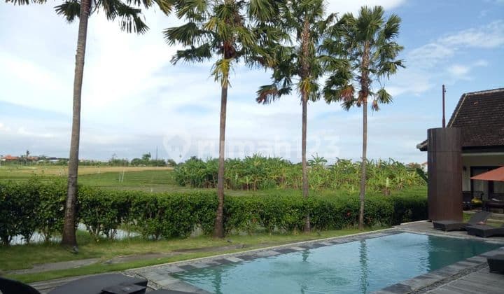 Ready For Sale Villa Cantik Luas Siap Hasilkan Cuan di Canggu Bali