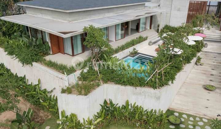 For Rent Beautifull Villa 3 Bedroom In Pererenan