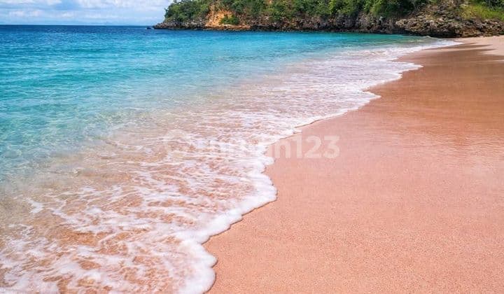 Siap Dijual Tanah Premium Tepi Pantai di Pantai Pink Lombok