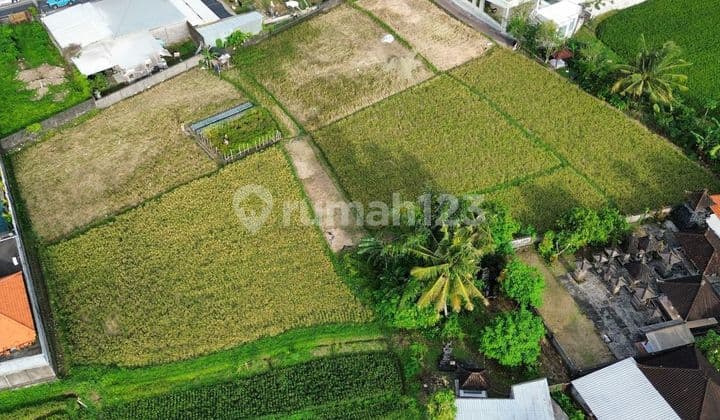 Ready For Leasehold Beautyfull Land In Tumbak Bayuh Bali