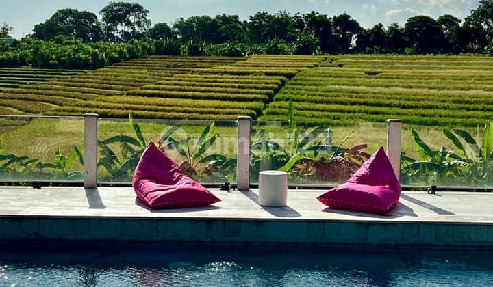 Ready For Rent Beautyfull Villa With Ricefield View At Buduk Bali