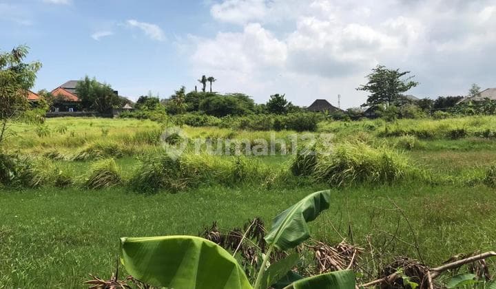 Ready For Sale Lahan Premium Siap Bangun di Umalas Badung Bali