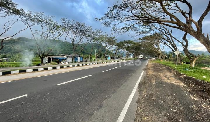 Lahan Premium Siap Bangun di By Pass Ngurah Rai Kusamba