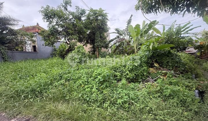 Ready For Build Premium Land For Sale In Munggu Badung Bali
