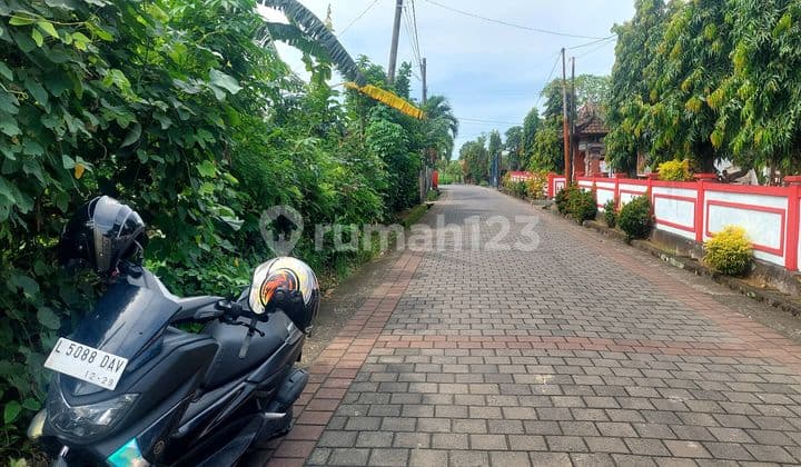 Lahan Premium Murah Siap Bangun di Kelating Tabanan Bali