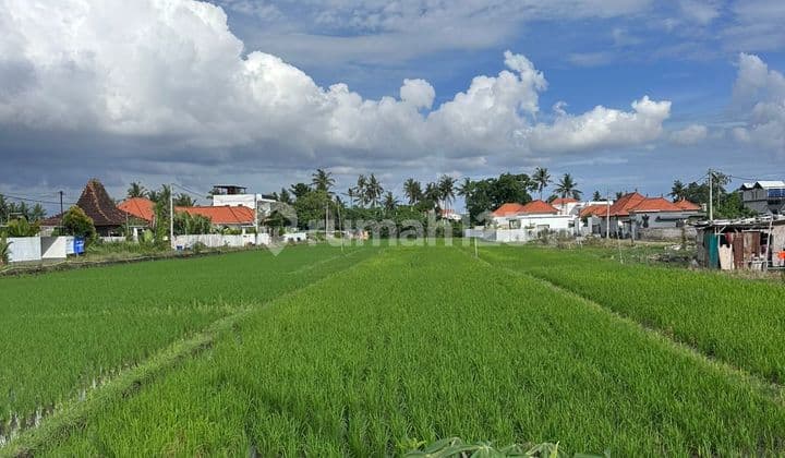 Ready for a Leasehold Premium Location Land in Seseh, Badung, Bali