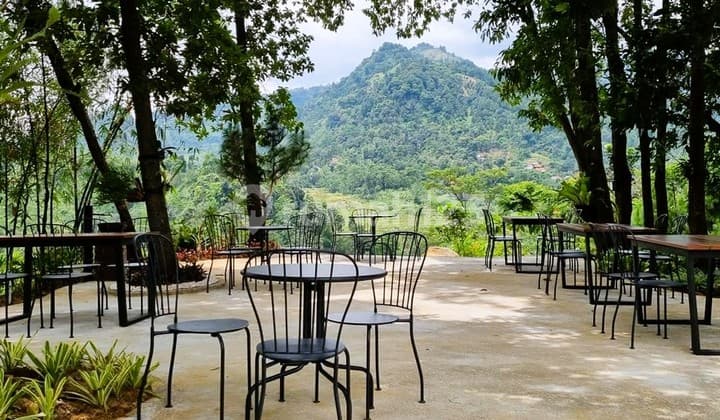 Peluang Besar! Ambil Alih Bisnis Wisata Alam Siap Profit di Sentul City Bogor
