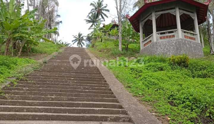 Tanah + Kebun Durian Dan Cengkeh di Negare Tabanan Bali