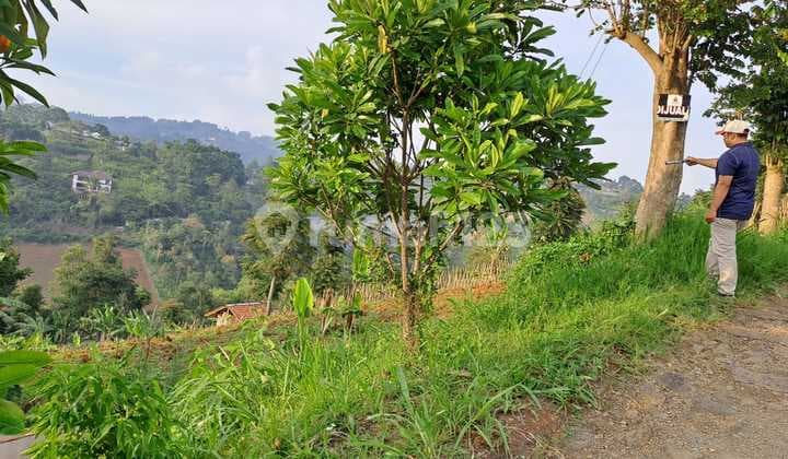 Affordable Plots with Nice Views for Villas in Buniwangi Dago Bandung