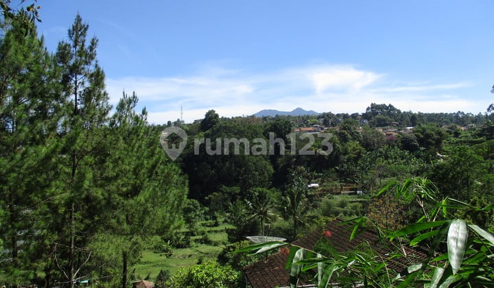 Tanah Murah Luas Strategis Untuk Usaha/Ternak di Lembang Bandung