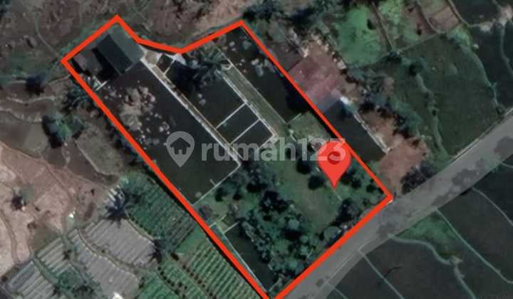 Tanah+rumah Kayu Strategis di Perbatasan Subang pekalongan Tanah+rumah Kayu Strategis di Perbatasan Subang pekalongan