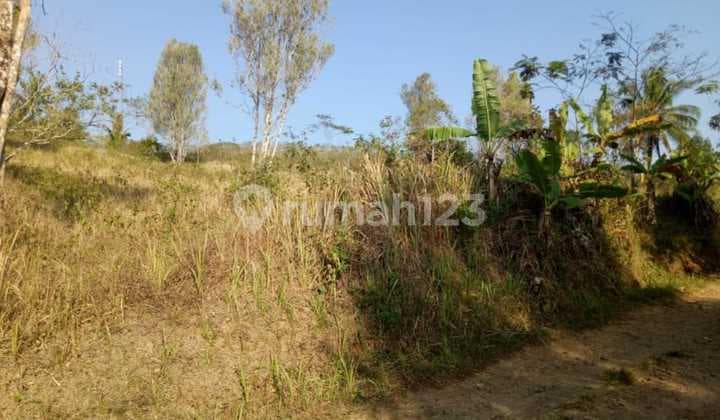 Jual Tanah Luas Murah di Cicadas Cianjur Mainroad