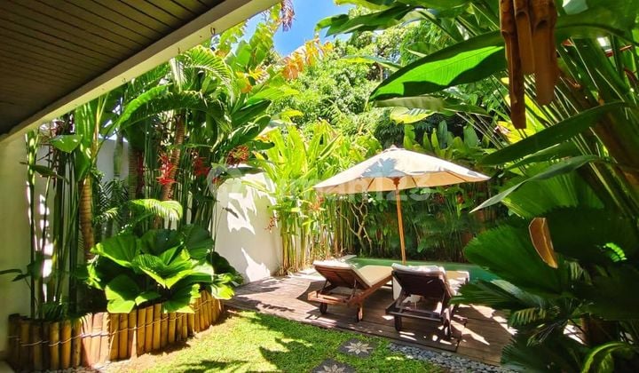 Villa 1 Bedroom Fully Furnished with Swimming Pool in Umalas Kerobokan