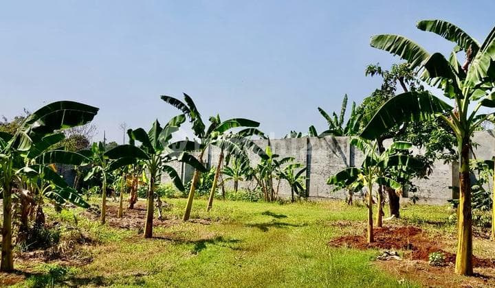 Kavling Siap Bangun di Pisok Bintaro Jaya Sektor 5.