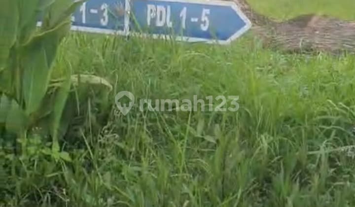 Tanah Kavling Murah di Surabaya?! Cuma 35 Juta?! Kesempatan Langka Buat Kamu yang Cari Lahan Luas dengan Harga Super Terjangkau!