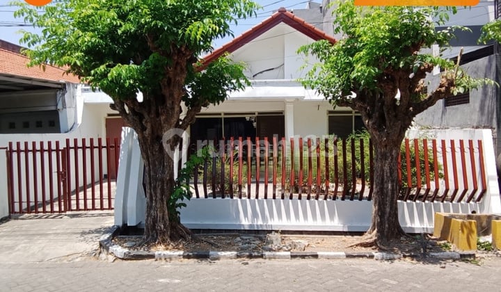 DIJUAL RUMAH TINGGAL DARMO PERMAI SELATAN SURABAYA DIJUAL RUMAH TINGGAL DARMO PERMAI SELATAN SURABAYA