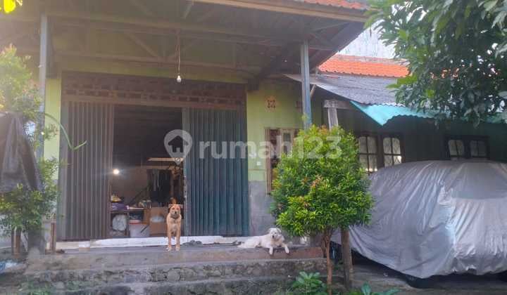 Garment Masih Beroperasi Dalung Permai Kuta Utara Bali