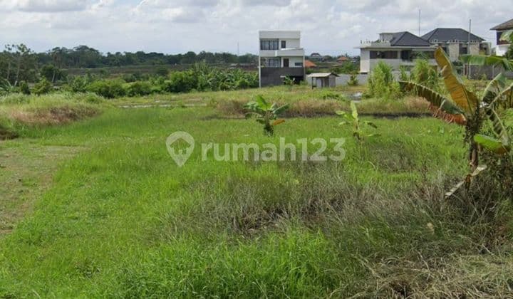 Tanah Siap Bangun Dekat ke Pantai Umalalang Cemagi Mengwi Bali