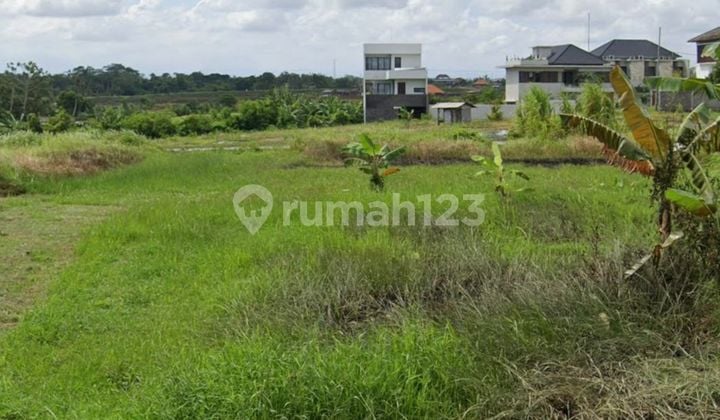Land Ready to Build Near Umalalang Beach Cemagi Mengwi Bali