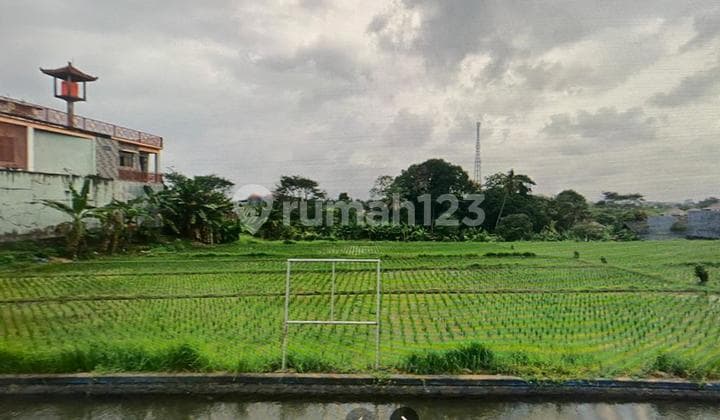 Tanah Strategis Pantai Nyanyi Kediri Tabanan Bali, View Sawah