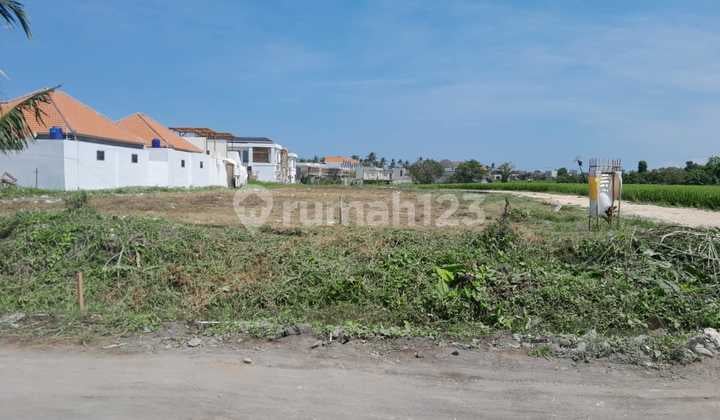 Tanah Seseh Beach Munggu, Lokasi Strategis Dekat Kawasan Wisata