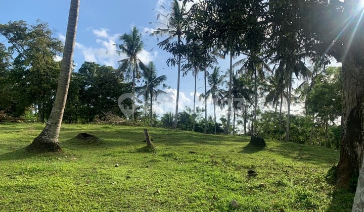 Tanah Kebun Zona Kuning Dekat Pantai Soka Selemadeg Tabanan Bali