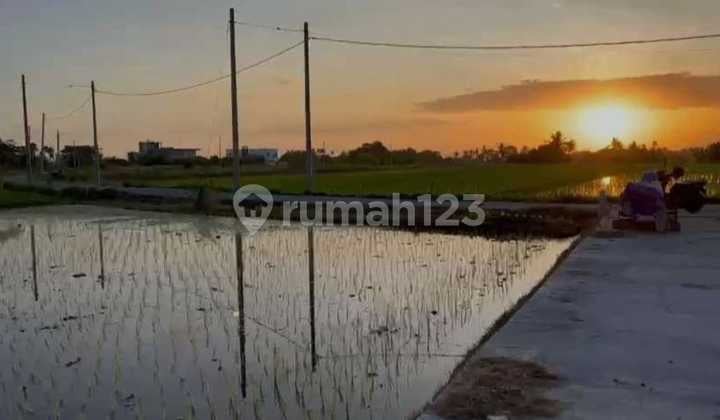 Tanah Premium Itr Wisata Kedungu Tabanan Bali, Dekat ke Pantai