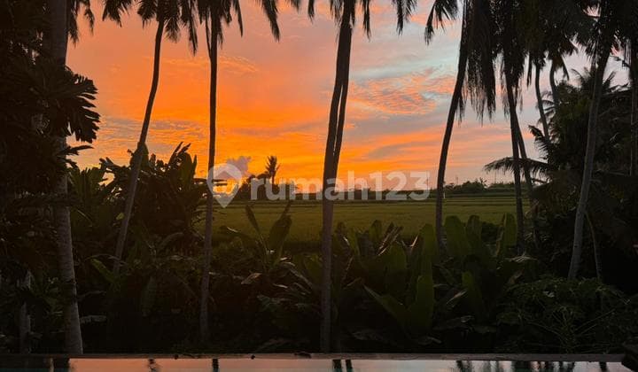 Strategic Villa with Rice Field View Near Purnama Beach, Gianyar, Bali