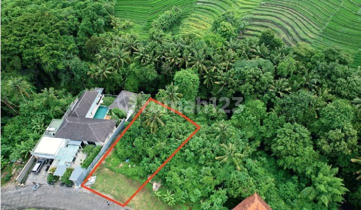 Cheap Land in Greelot Villa Area Munggu Near Canggu Bali