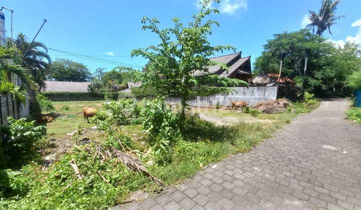 Tanah Komersil 13,5 Are Tiyingtutul Pererenan Mengwi Zona Kuning