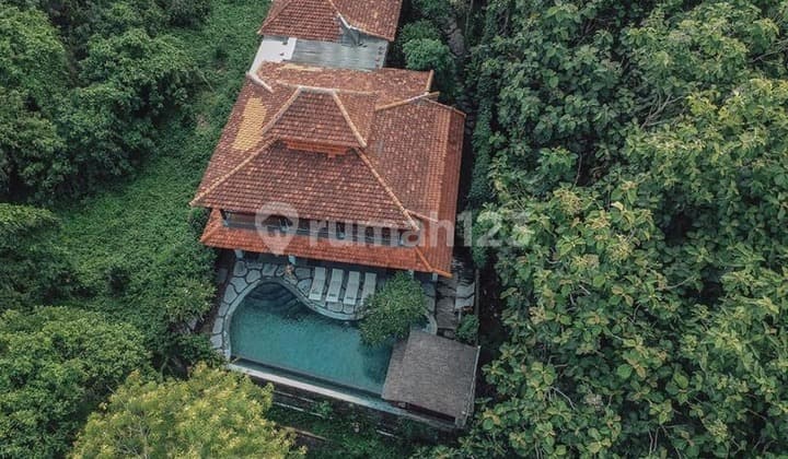 Villa Mewah 4Kt View Hutan & Sungai Lodtunduh Ubud Bali