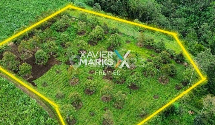 Tanah Kavling Dijual di Jabung, Kenongo, Malang