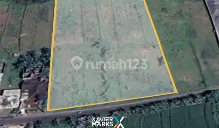 Tanah Luas di Tawangargo, Karangploso skyland