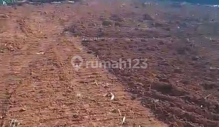 Tanah 1 Ha Pinggir Jalan Raya Tajur Halang Bogor Dekat Pintu Tol