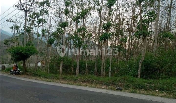 For Sale, Very Cheap Strategic Land in Kebon Jati on the Main Road of Cijapati, Garut.