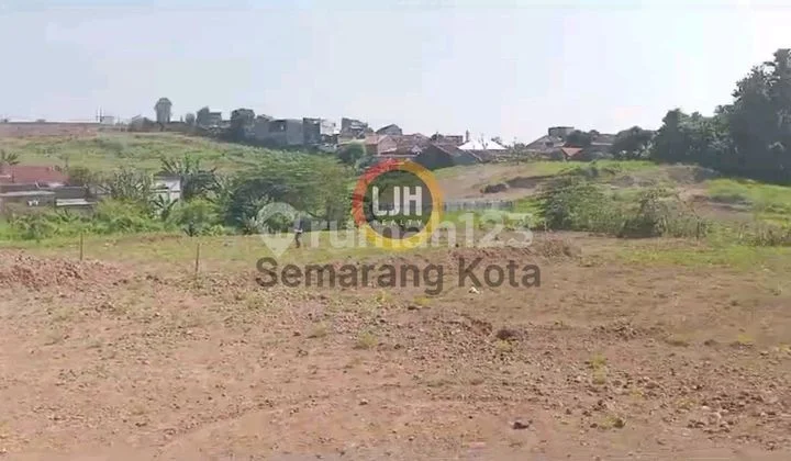 Kavling Di Beringin, Ngaliyan Kavling Di Beringin, Ngaliyan