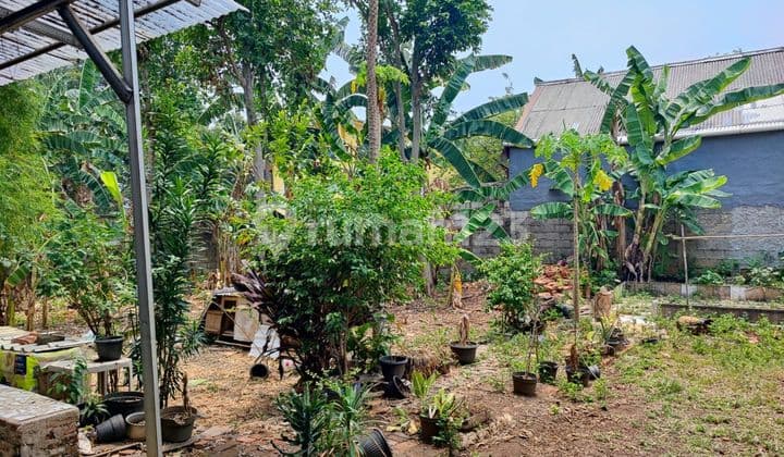 Dijual Tanah deket cafe Louise Depok, Jl, Mawar, Depok