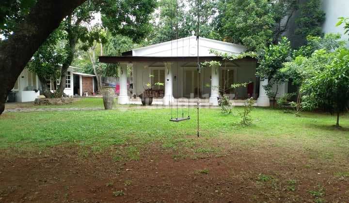 Hunian Tenang, Nyaman Pekarangan Super Luas di Ragunan, Jakarta Selatan