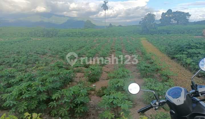 Tanah dekat Bandara Internasional Minang Kabau Lokasi Strategis Harga Nego