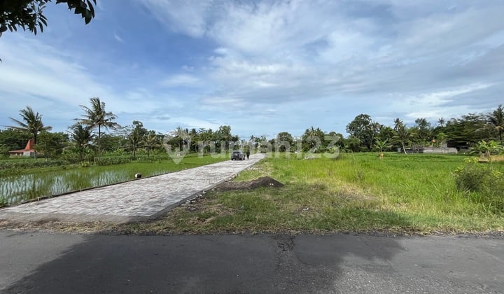 Murah 3 Jutaan! Tanah Jl Pandanaran Belakang Kampus Uii Jogja
