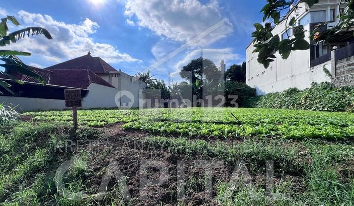 Tanah Kavling Matang Siap Bangun Setiabudi Regency Lokasi Sejuk Cocok Untuk Rumah Tinggal Dan Villa