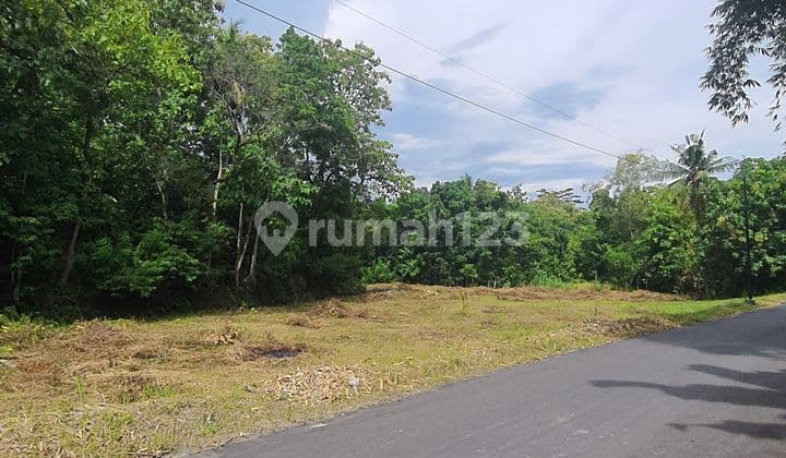 DIJUAL TANAH MURAH SLEMAN LEGALITAS HAK MILIK SIAP BALIK NAMA