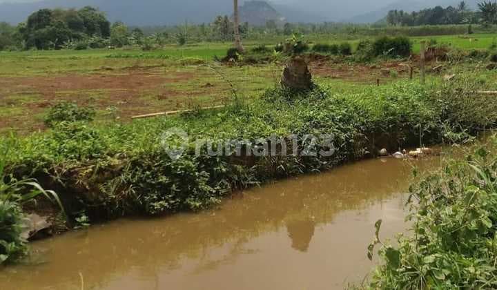 Dijual Tanah Darat Zona Pp1 Kuning untuk Perumahan Gudang di Ciseeng, Bogor Vib