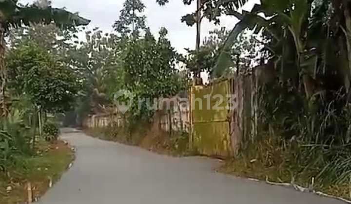 Jual tanah harga BU 100 meter dari kantor Kades di kelurahan Cibadung Gunung Sindur