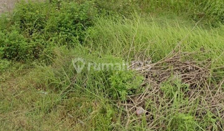 Tanah Strategis di Dekatpasardlangu Tanah Strategis di Dekatpasardlangu